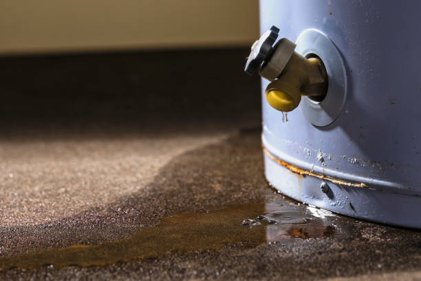 Best Water damage restoration insurance claims  in Williston Park, NY