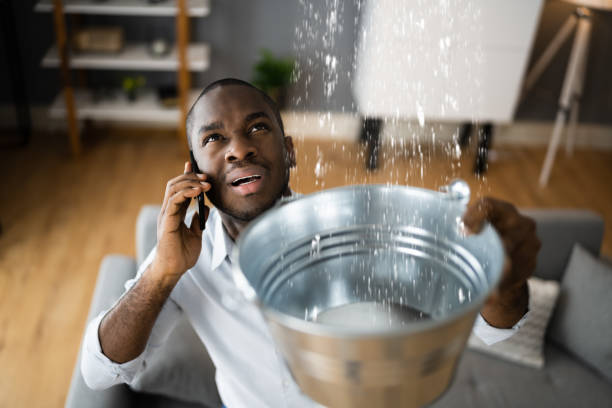 Best Ceiling water damage repair  in Williston Park, NY