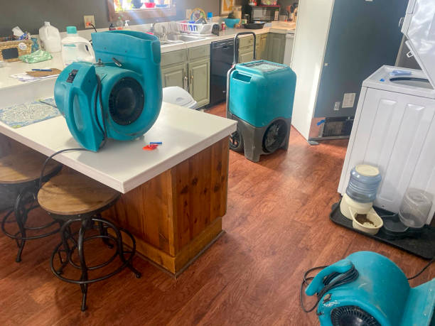  Williston Park, NY Water damage restoration Pros