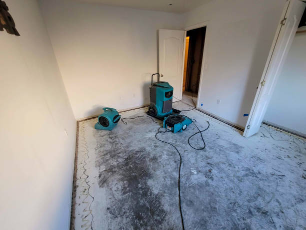 Best Fire Damage Restoration  in Williston Park, NY