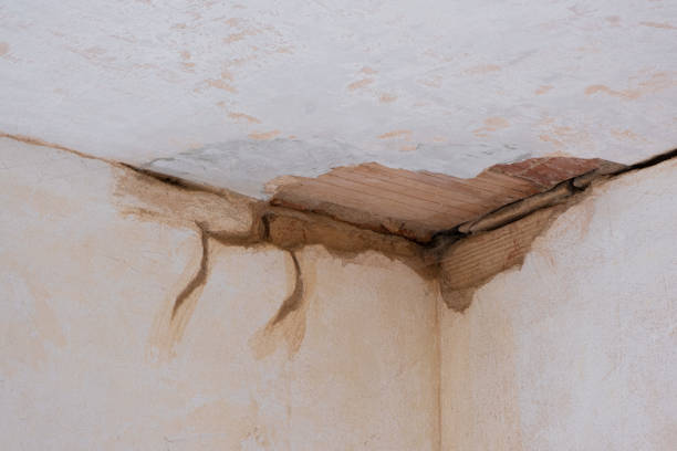 Best 24-hour water damage restoration  in Williston Park, NY