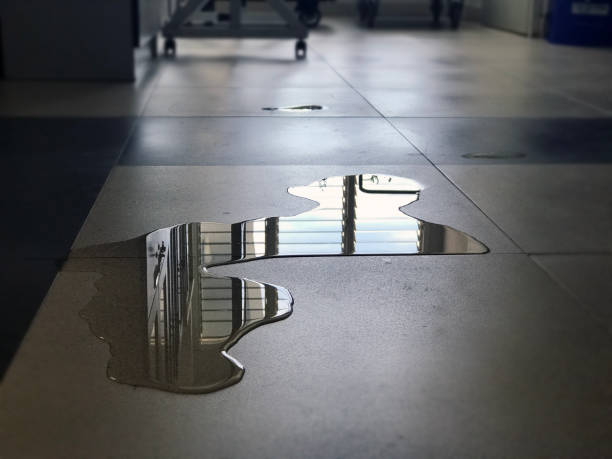 Best Commercial water damage restoration  in Williston Park, NY