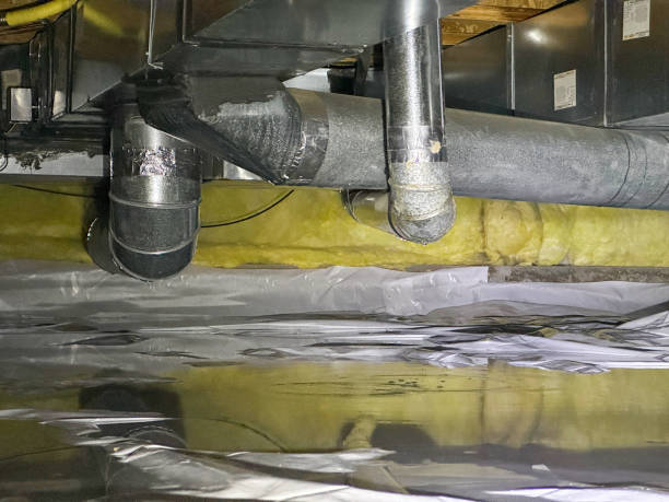 Best Local water damage restoration  in Williston Park, NY