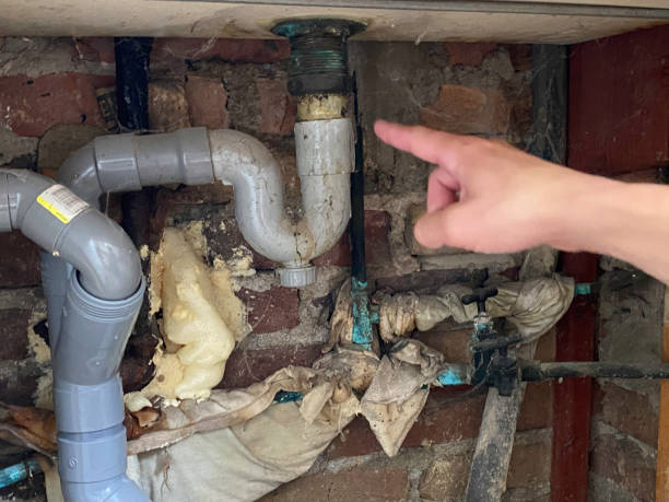 Best Mold removal after water damage  in Williston Park, NY