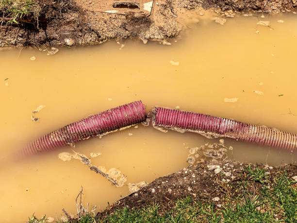 Best Water damage contractors near me  in Williston Park, NY