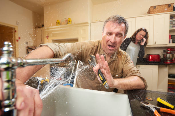 Best Flood damage cleanup  in Williston Park, NY